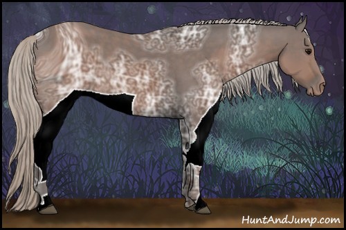 Horse Color:ERROR: UNKNOWN ANOMALY