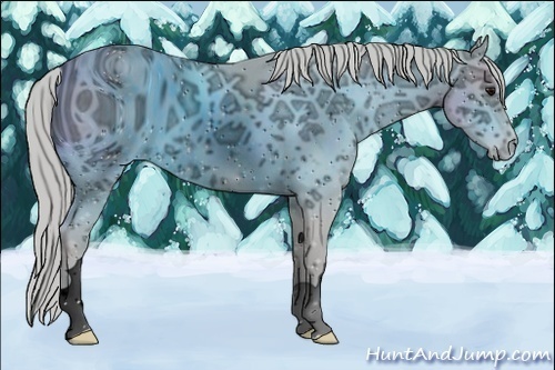 Horse Color:ERROR: UNKNOWN ANOMALY