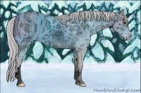 Horse Color:ERROR: UNKNOWN ANOMALY