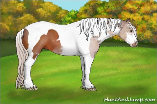 Horse Color:Silver Brown Sabino Tobiano 
