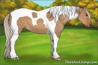 Horse Color:Silver Bay Dun Tobiano 