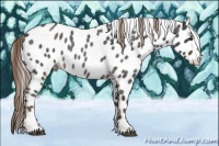 Horse Color:Liver Red Roan Sabino Leopard Rabicano 