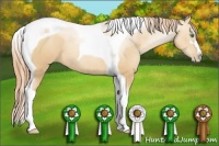 Horse Color:Classic Champagne Pearl Sabino Tobiano Rabicano