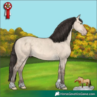 Horse Color:Sable Champagne Dun Sabino Tobiano Rabicano 