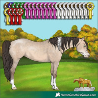 Horse Color:Sable Champagne Dun Sabino Tobiano Rabicano 