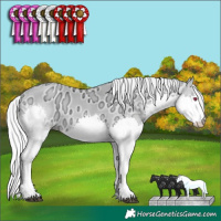 Horse Color:Silver Brown Chinchilla Ice Pearl Dun Splash Tobiano Brindle 