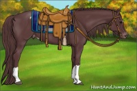 Horse Color:Chocolate Black Appaloosa 