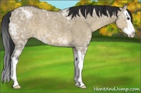 Horse Color:Brown Ice Roan Dun Splash 