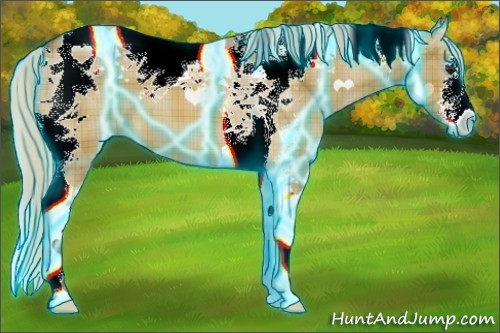 Horse Color:Thunderstruck Plaid  Silver Bay Dun Sabino Tobiano 