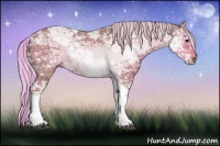 Horse Color:Watercolor Silver Black Ice Tobiano 