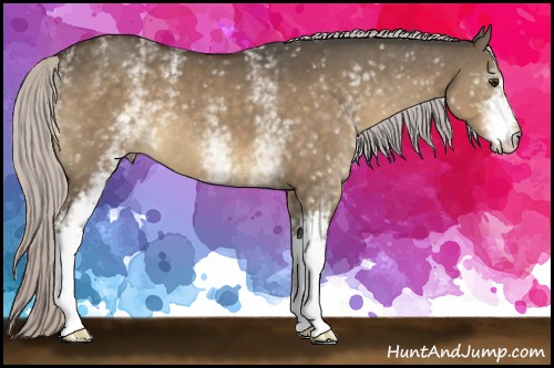 Horse Color:White Spotted Silver Brown Dun 