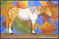Horse Color:Watercolor White Spotted Liver Chestnut 