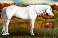 Horse Color:Brown Snowcap 