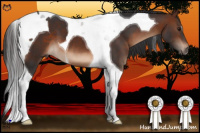 Horse Color:Brown Tobiano
