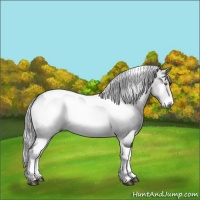 Horse Color:Silver Brown Chinchilla Onyx Sabino Tobiano 