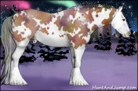 Horse Color:Nacre White Spotted Bay Splash