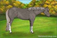 Horse Color:Silver Black 