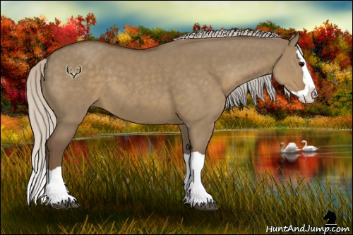 Horse Color:Silver Grullo Splash 