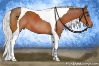 Horse Color:Silver Brown Tobiano 