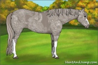 Horse Color:Silver Grullo Ice 