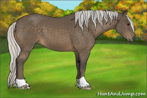 Horse Color:Silver Buckskin 