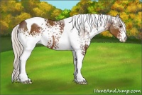 Horse Color:White Spotted Silver Brown Tobiano 
