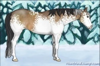 Horse Color:White Spotted Brown Dun