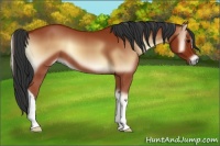 Horse Color:Brown Onyx 
