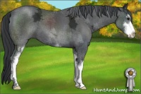 Horse Color:Black Chinchilla Ice Sabino