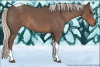 Horse Color:Silver Blue Roan Tobiano