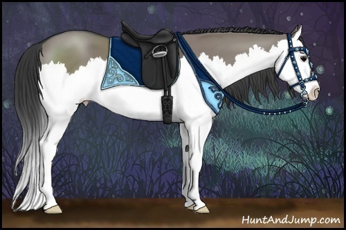 Horse Color:Grullo Sabino Splash 