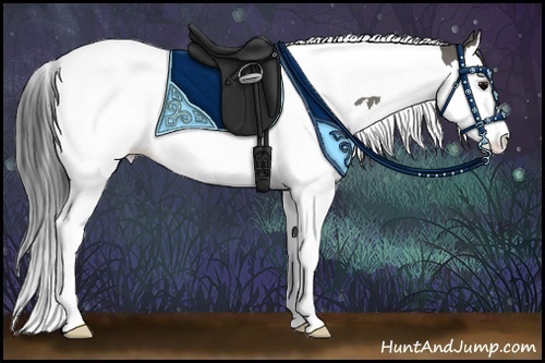 Horse Color:Grullo Sabino Splash Tobiano