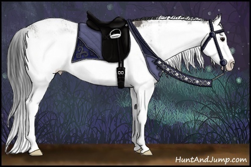 Horse Color:Grullo Sabino Splash 