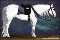 Horse Color:Grullo Sabino Splash 