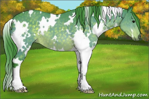 Horse Color:Watercolor White Spotted Brown 