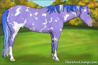 Horse Color:Watercolor White Spotted Classic Champagne 