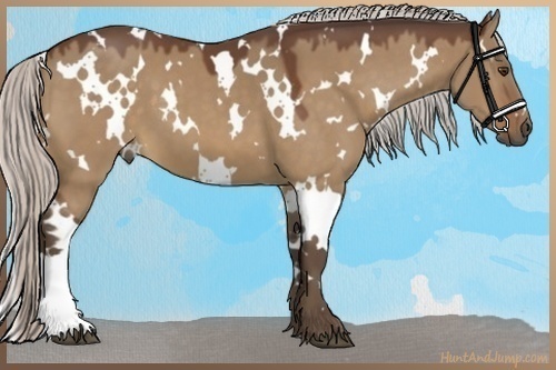Horse Color:White Spotted Silver Brown Dun