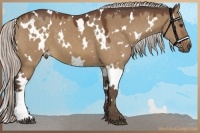 Horse Color:White Spotted Silver Brown Dun
