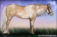 Horse Color:White Spotted Silver Brown Pearl 