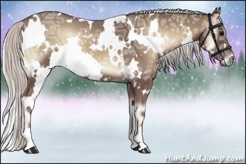 Horse Color:White Spotted Silver Smoky Blue Onyx Ice