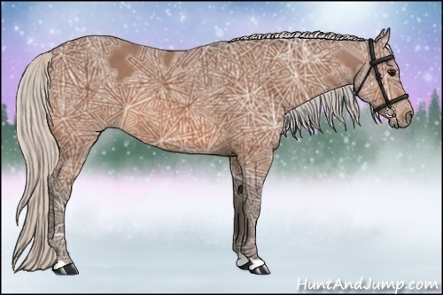 Horse Color:Silver Bay Ice
