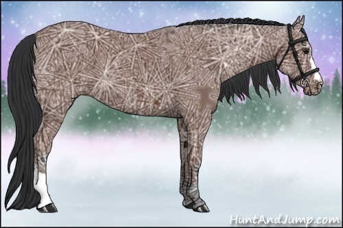 Horse Color:Bay Ice 