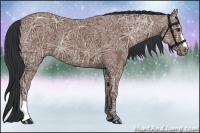 Horse Color:Bay Ice