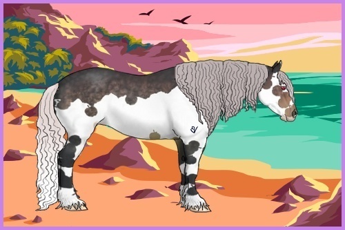 Horse Color:Silver Black Chinchilla Splash 