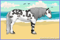 Horse Color:Gray Silver Black Chinchilla Splash Tobiano 