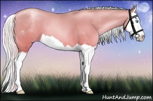 Horse Color:Silver Buckskin Pearl Dun Splash
