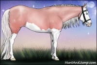 Horse Color:Silver Buckskin Pearl Dun Splash 