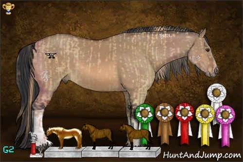 Horse Color:Red Dun and Bay Dun