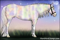 Horse Color:Nacre Cremello Onyx