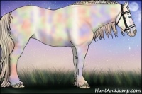 Horse Color:Nacre Perlino Dun
